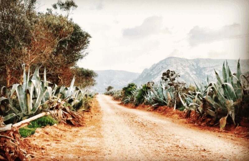 Cabo de Gata: 4x4 Tour Genoveses, Monsul and Gold Mines - Final Thoughts