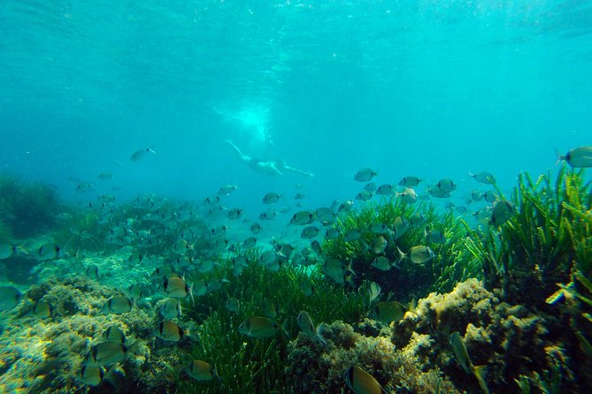 Cabo De Gata Active. Guided Kayak and Snorkel Route Through Coves of the Natural Park - Customer Reviews