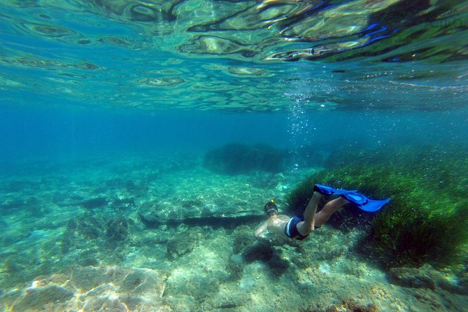 Cabo De Gata Active. Guided Kayak and Snorkel Route Through Coves of the Natural Park - Frequently Asked Questions