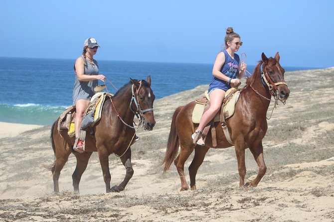 Cabo Desert Off-Road & Beach Horseback Combo and Tequila Tasting - Inclusions and Optional Extras