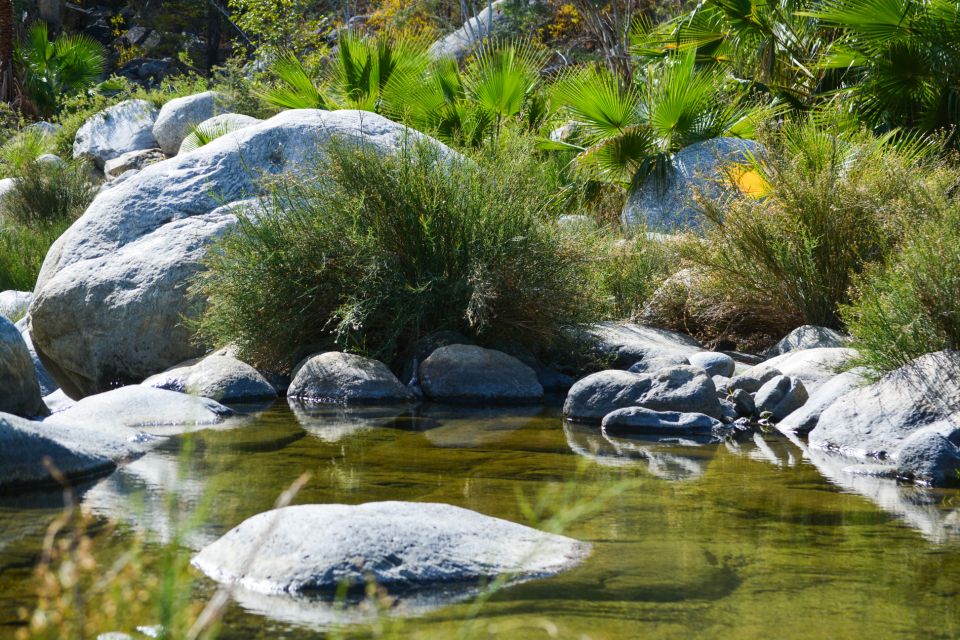 Cabo: Fox Canyon Private Hiking Tour - Key Points