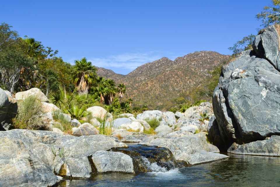 Cabo: Fox Canyon Private Hiking Tour - Hiking and Scenery