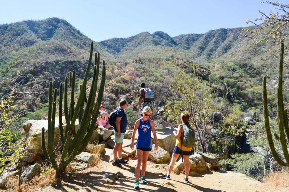 Cabo: Fox Canyon Private Hiking Tour - Frequently Asked Questions