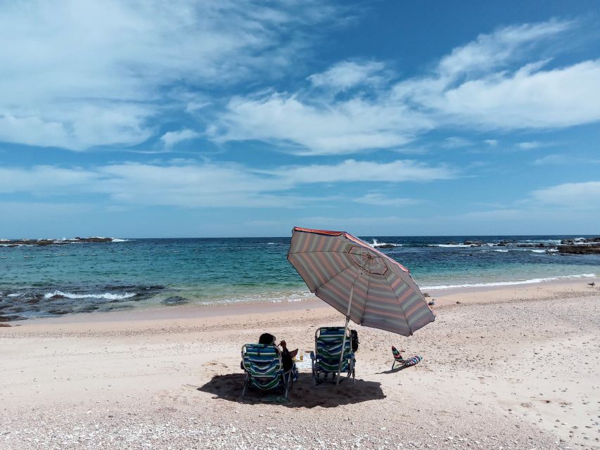 Cabo: Hidden Beach Day With Snorkeling in the Sea of Cortez - Snorkeling in the Sea of Cortez