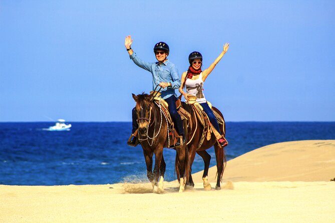 Cabo Horseback Riding on Migriño Beach - Key Points