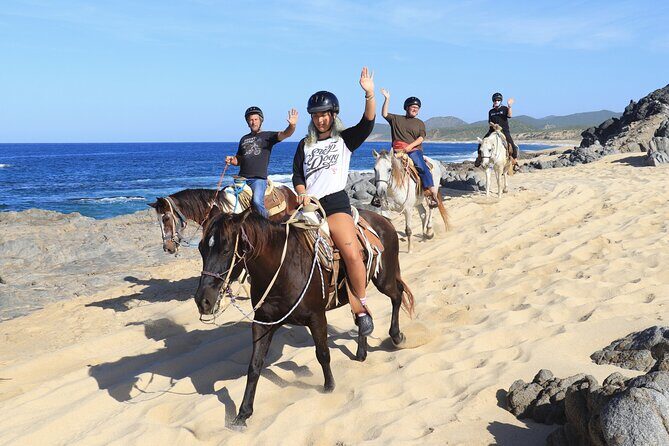 Cabo Horseback Riding on Migriño Beach - An In-Depth Look at the Cabo Horseback Riding Experience