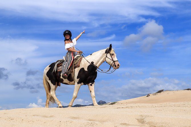 Cabo Horseback Riding on Migriño Beach - Who Will Enjoy This Tour?