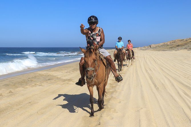 Cabo Horseback Riding on Migriño Beach - The Sum Up