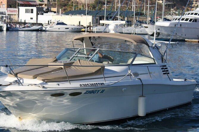 Cabo Private 36ft Yacht  Scenic Cruise & Relaxation - The Experience: What to Expect on the Water