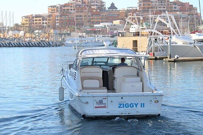 Cabo Private 36ft Yacht  Scenic Cruise & Relaxation - Who Will Love This Tour?