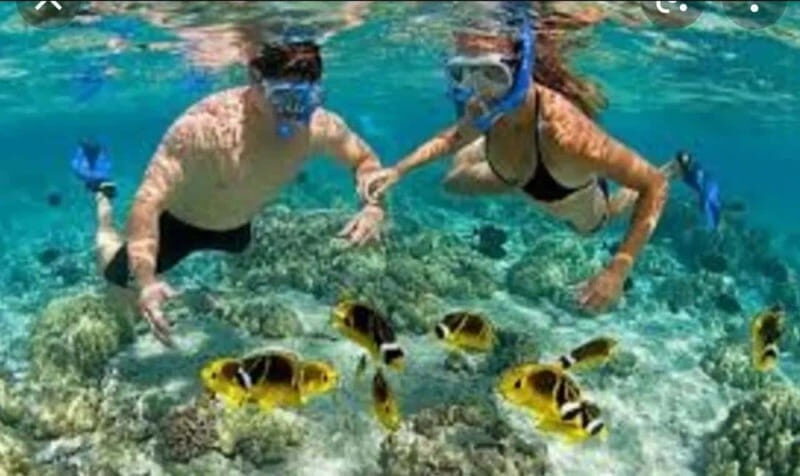 Cabo: Private Yacht Tour, Water Activities, Lunch & Drinks - FAQ