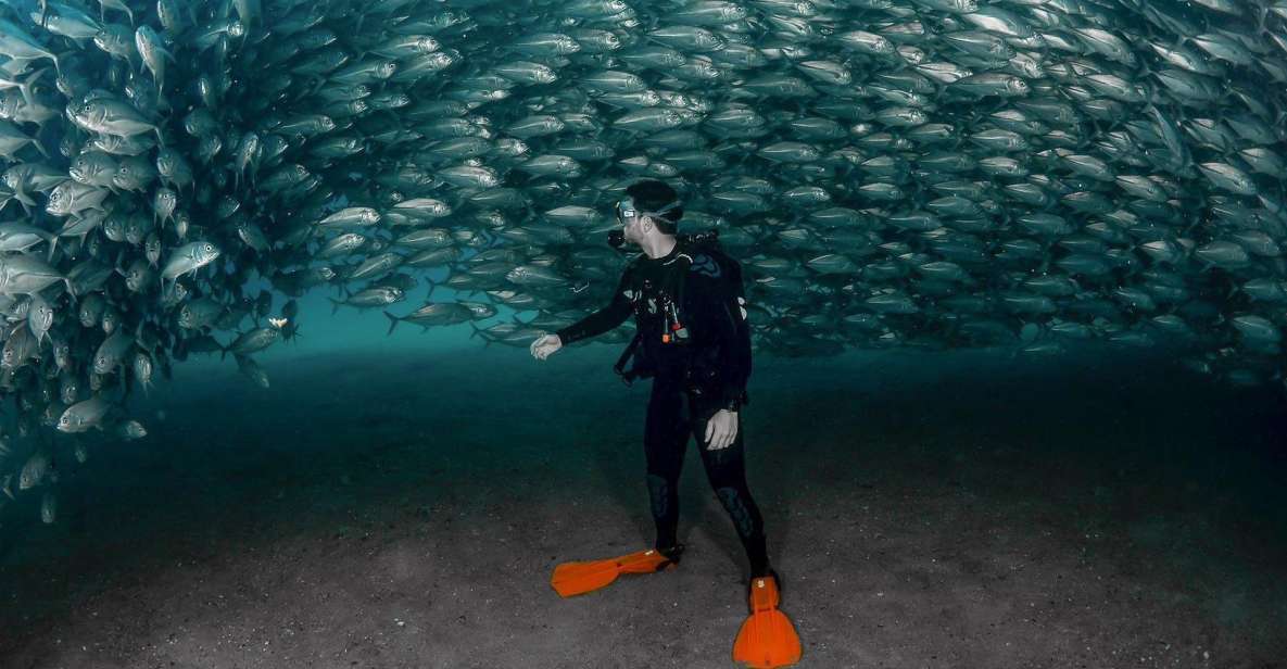 Cabo Pulmo: Cabo Pulmo National Park Diving Adventure - Diverse Marine Life in the Park