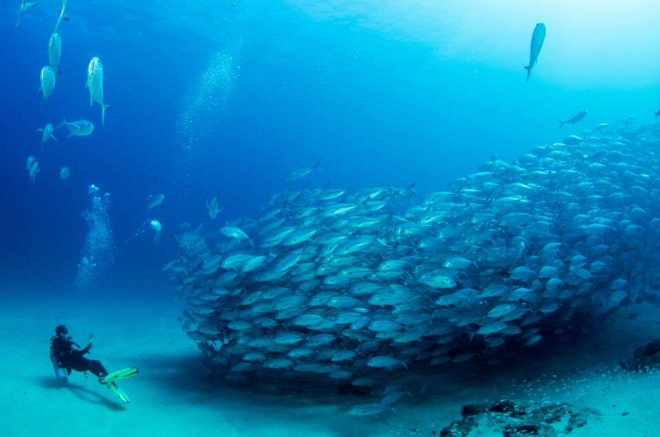 Cabo Pulmo Marine Park: Scuba Diving Excursion - Cancellation and Payment Options