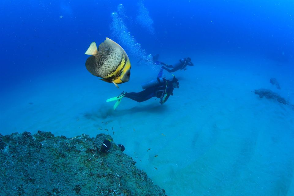 Cabo Pulmo Marine Park: Scuba Diving Excursion - Key Details to Consider