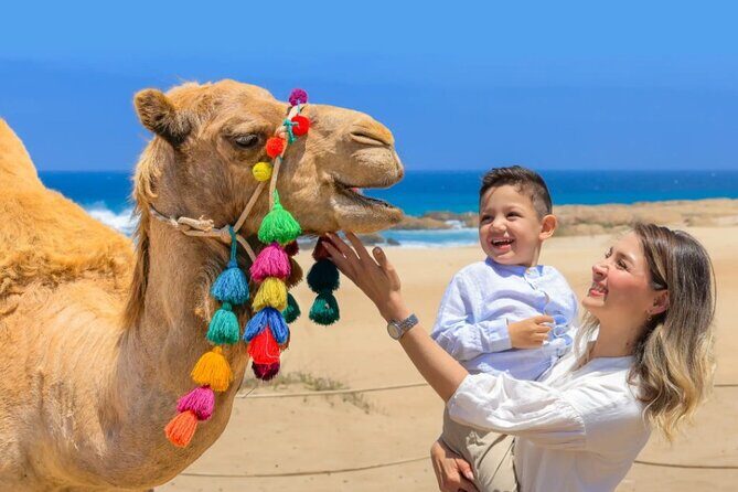 Cabo San Lucas 3-in-1 Combo: Sky Bike, Camels or Horses, and ATV - What’s Included and What to Expect