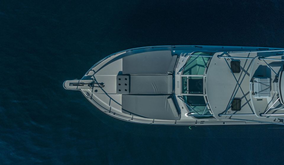 Cabo San Lucas: Arch Trip by Yacht 1 Hour - Boat Cruise