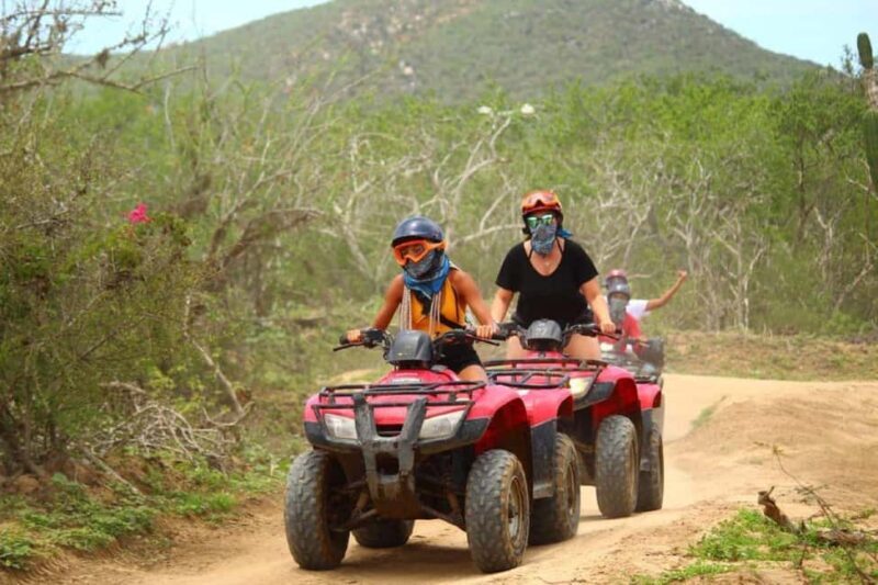 Cabo San Lucas: ATV Beach & Desert Tour with Tequila Tasting - An Exciting Introduction to Baja’s Natural Beauty