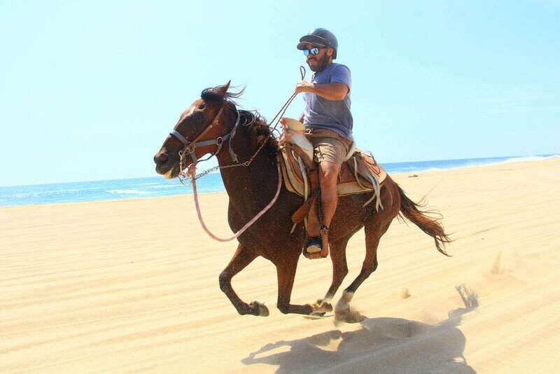 Cabo San Lucas: ATV/Camel/Horse Combo Tour - Key Points