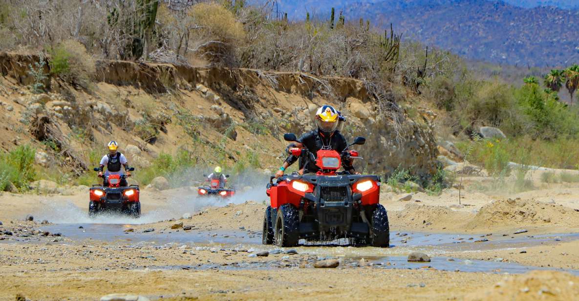 Cabo San Lucas: ATV Desert Tour With Mexican Lunch - Key Points