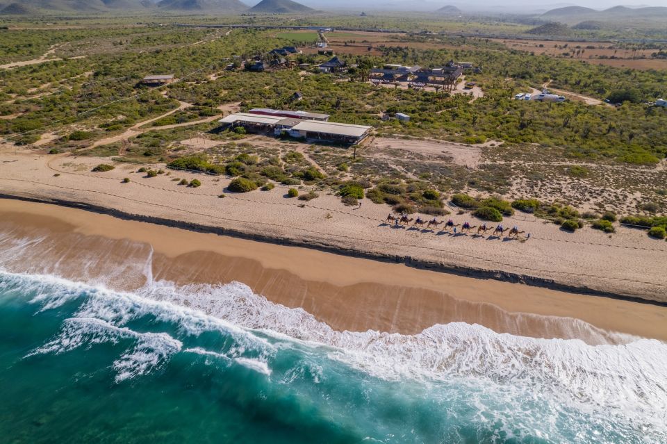 Cabo San Lucas: ATV Desert Tour With Mexican Lunch - Requirements and Restrictions