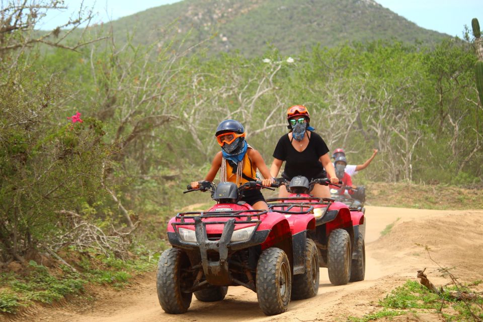 Cabo San Lucas: Beach and Desert ATV Tour - Pricing and Availability