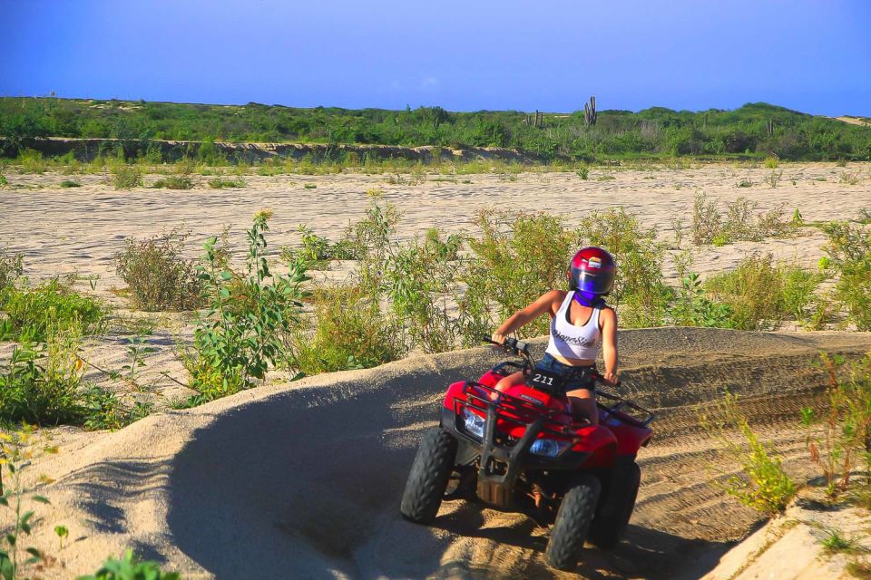 Cabo San Lucas: Beach & Desert ATV Tour With Tequila Tasting - Transportation and Pickup