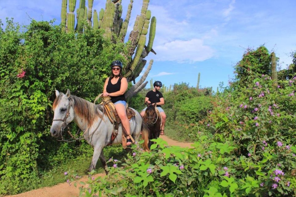 Cabo San Lucas: Beach & Desert Horseback Riding Tour - Excluded Experiences