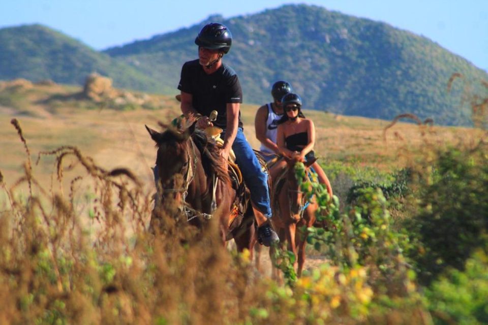 Cabo San Lucas: Beach & Desert Horseback Riding Tour - Pricing and Booking