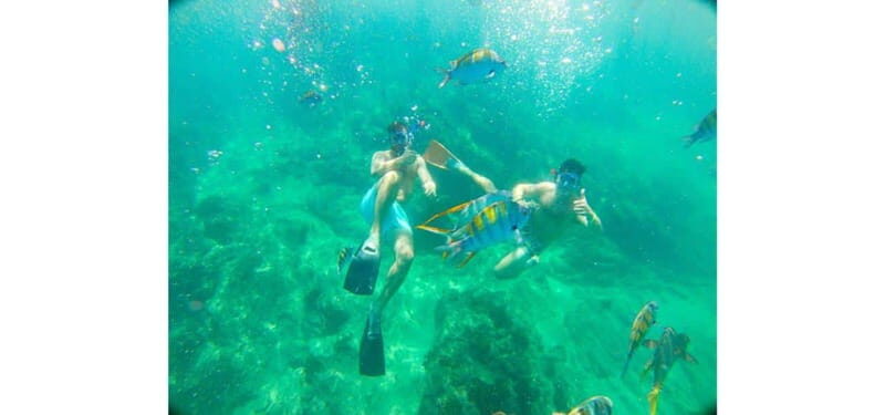 Cabo San Lucas: Beach Hopper Small-Group Snorkeling Tour - Why This Tour Could Be a Great Choice