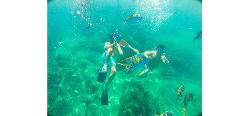 Cabo San Lucas: Beach Hopper Small-Group Snorkeling Tour - The Sum Up