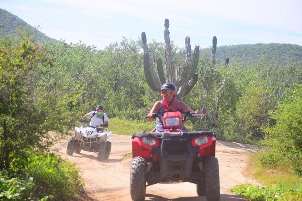 Cabo San Lucas: Cabo Original Real Baja 1000 ATV or UTV Tour - Safety Equipment
