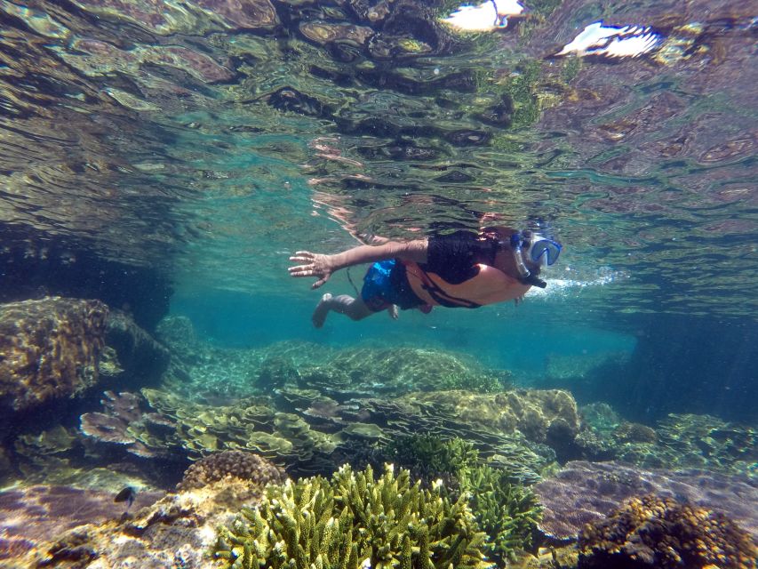 Cabo San Lucas: Cabo Pulmo Snorkeling Expedition - Booking and Inquiries