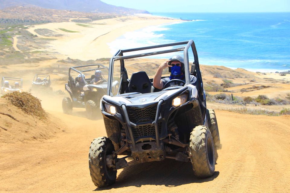 Cabo San Lucas: Camel Ride & Off-Road UTV Combo Adventure - Booking Options