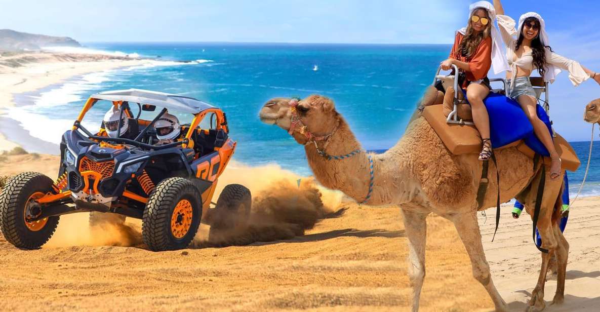 Cabo San Lucas: Camel Ride & Off-Road UTV Combo Adventure - Pickup and Drop-off
