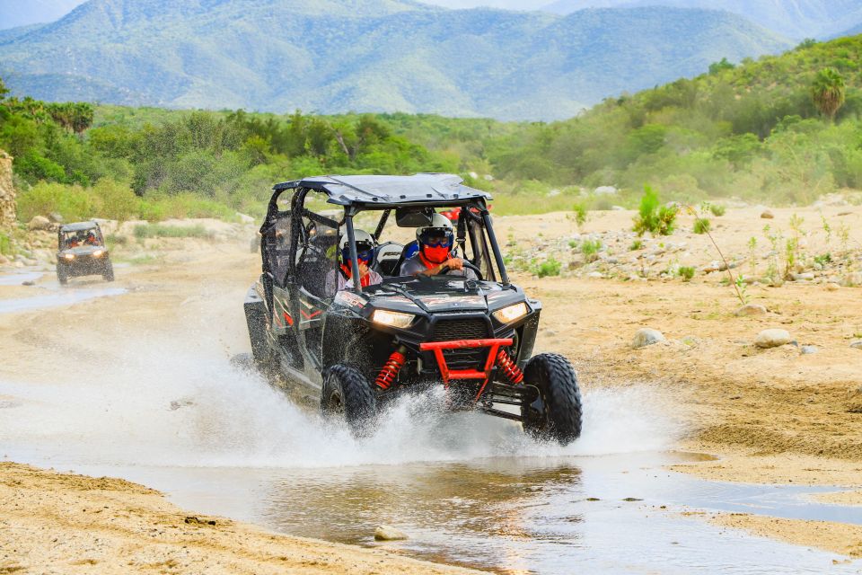 Cabo San Lucas: Camel Ride & Off-Road UTV Combo Adventure - Adrenaline-Filled Off-Road Exploration