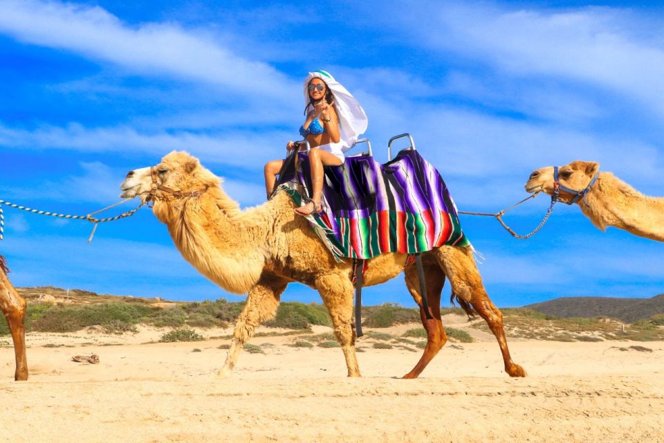 Cabo San Lucas: Camel Ride & Off-Road UTV Combo Adventure - Discover Desert Canyons and Dunes