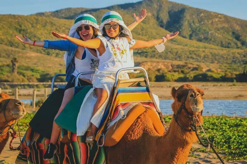 Cabo San Lucas: Camel Ride on the Beach - What You Can Expect From This Tour