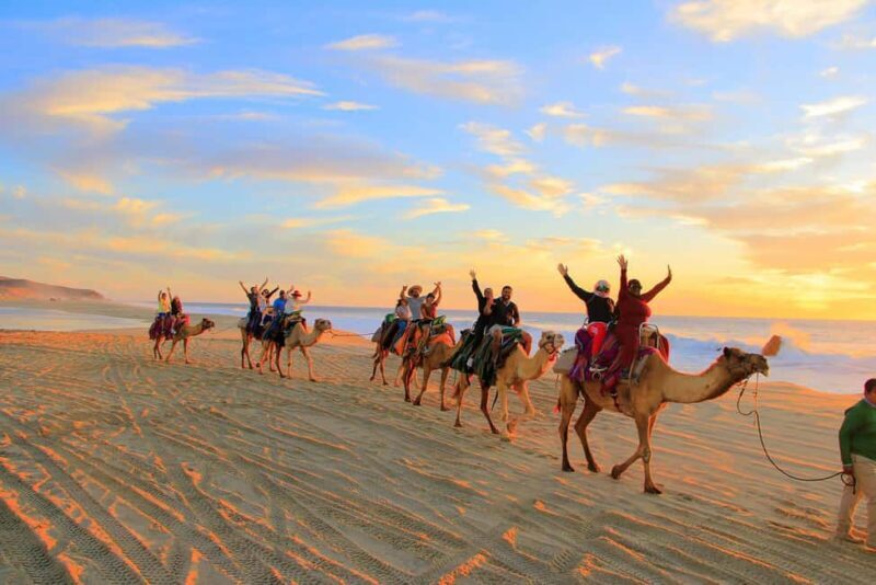 Cabo San Lucas: Camel Ride on the Beach - Who This Tour is Best For