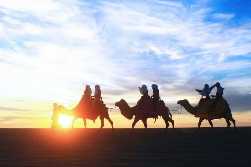Cabo San Lucas: Camel Ride on the Beach - The Bottom Line