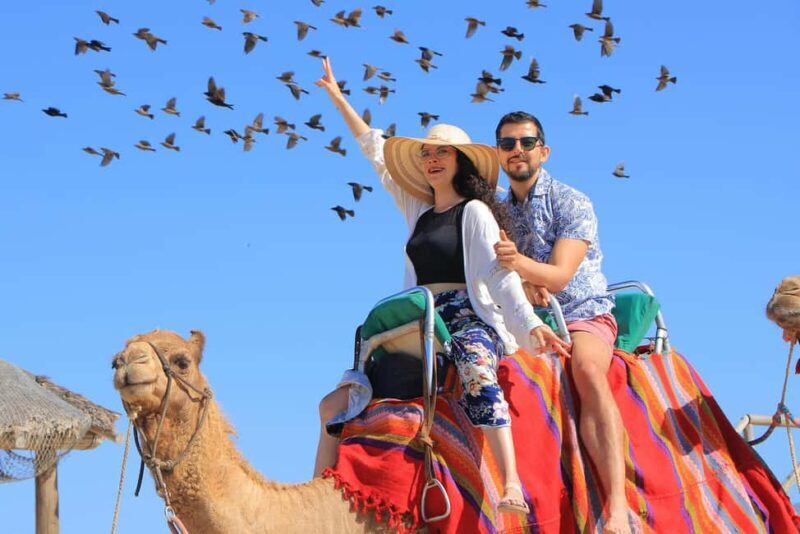 Cabo San Lucas: Camel Ride on the Beach - FAQ