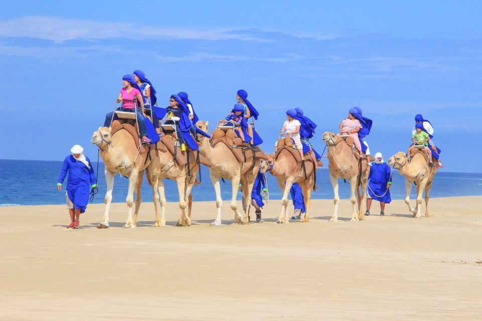 Cabo San Lucas: Camel Safari Tour With Lunch and Tequila - Spectacular Ocean Vistas and Whale Watching