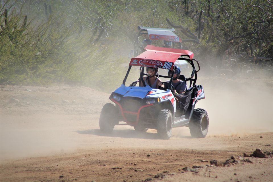 Cabo San Lucas: Candelaria RAZOR Adventure - Migriño Shopping Experience