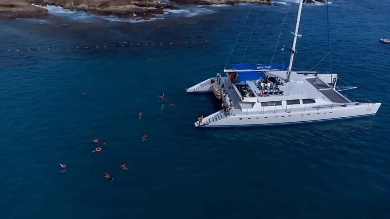 Cabo San Lucas Catamaran Cruise: Snorkel or Sunset Adventure - FAQ