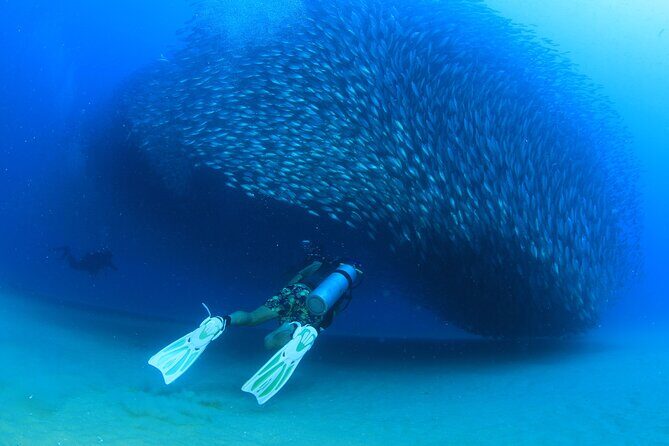 Cabo San Lucas Certified 2 Tank Dive at the Famous Arch and Land's End - Who Should Consider This Tour