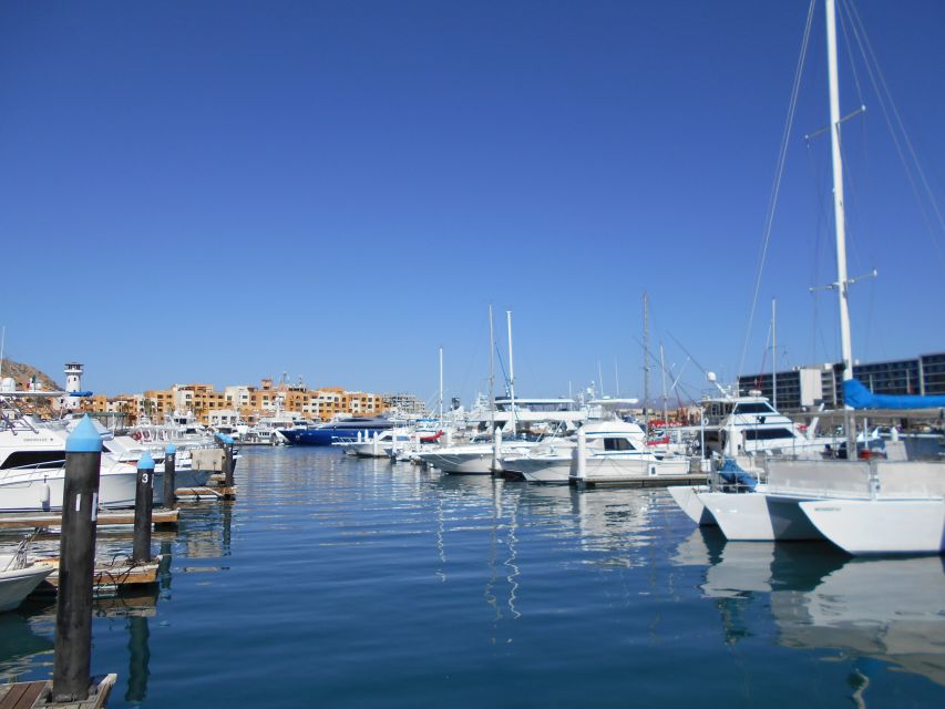 Cabo San Lucas: City Tour and Beach Day - Tour Inclusions and Pricing