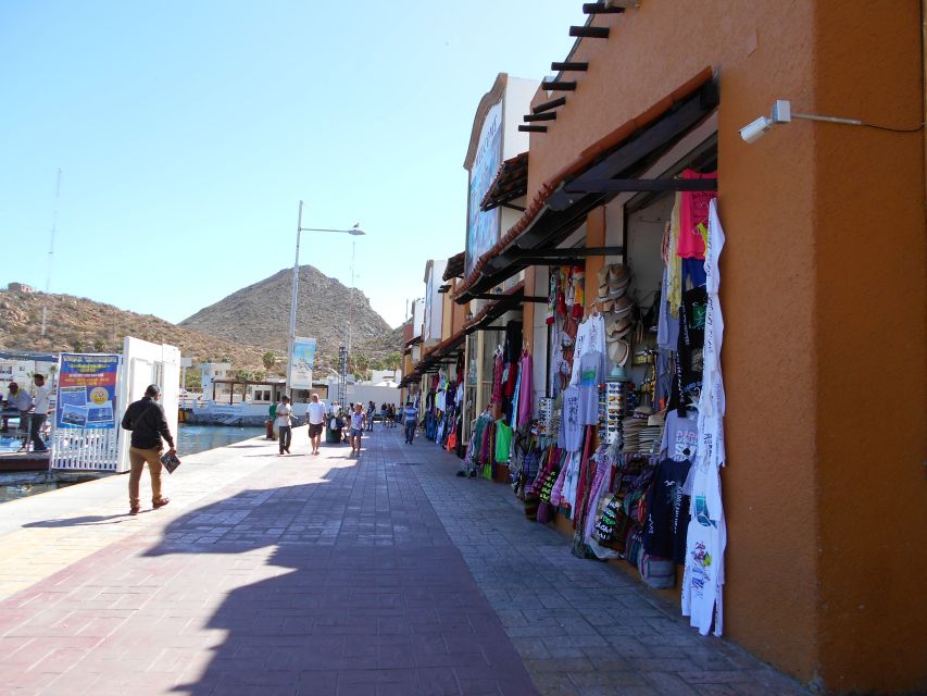 Cabo San Lucas: City Tour and Beach Day - What to Bring and Expect