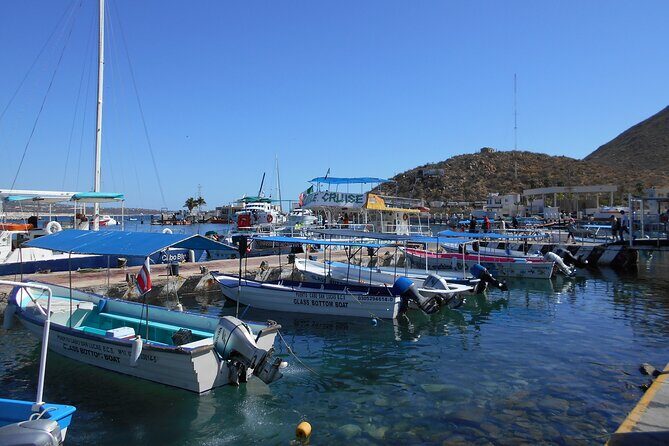 Cabo San Lucas City Tour and Optional Beach Time - The Heart of Cabo: Plaza Amelia Wilkes and Parroquia San Lucas