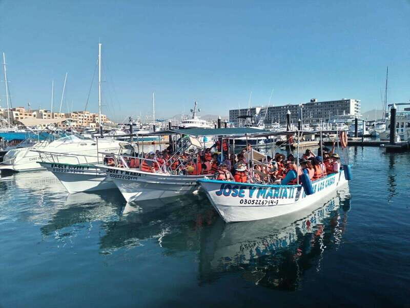 Cabo San Lucas: Classic Tour to the Arch in Glass Bottom - What Travelers Say