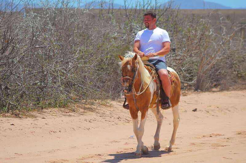 Cabo San Lucas :Combo ATV&Horseback riding with transfer - Key Points