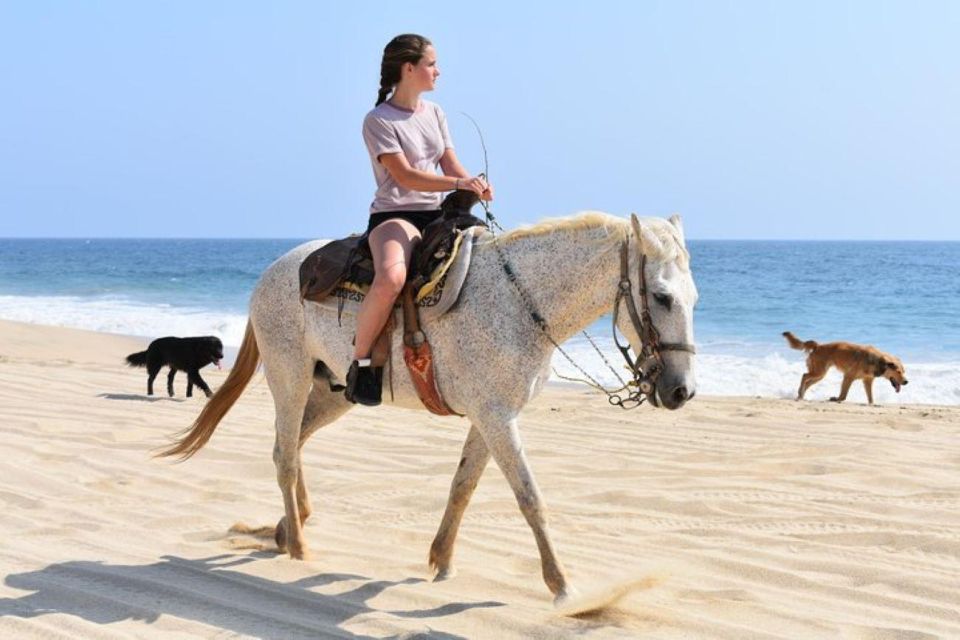 Cabo San Lucas: Desert ATV & Beach Horseback Combo - Off-Roading on ATVs